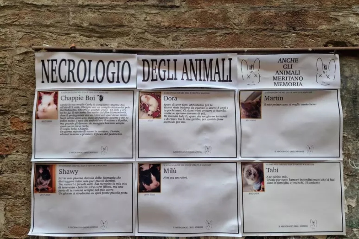 necrologio animali