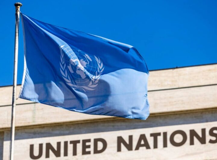 Bandiera Onu