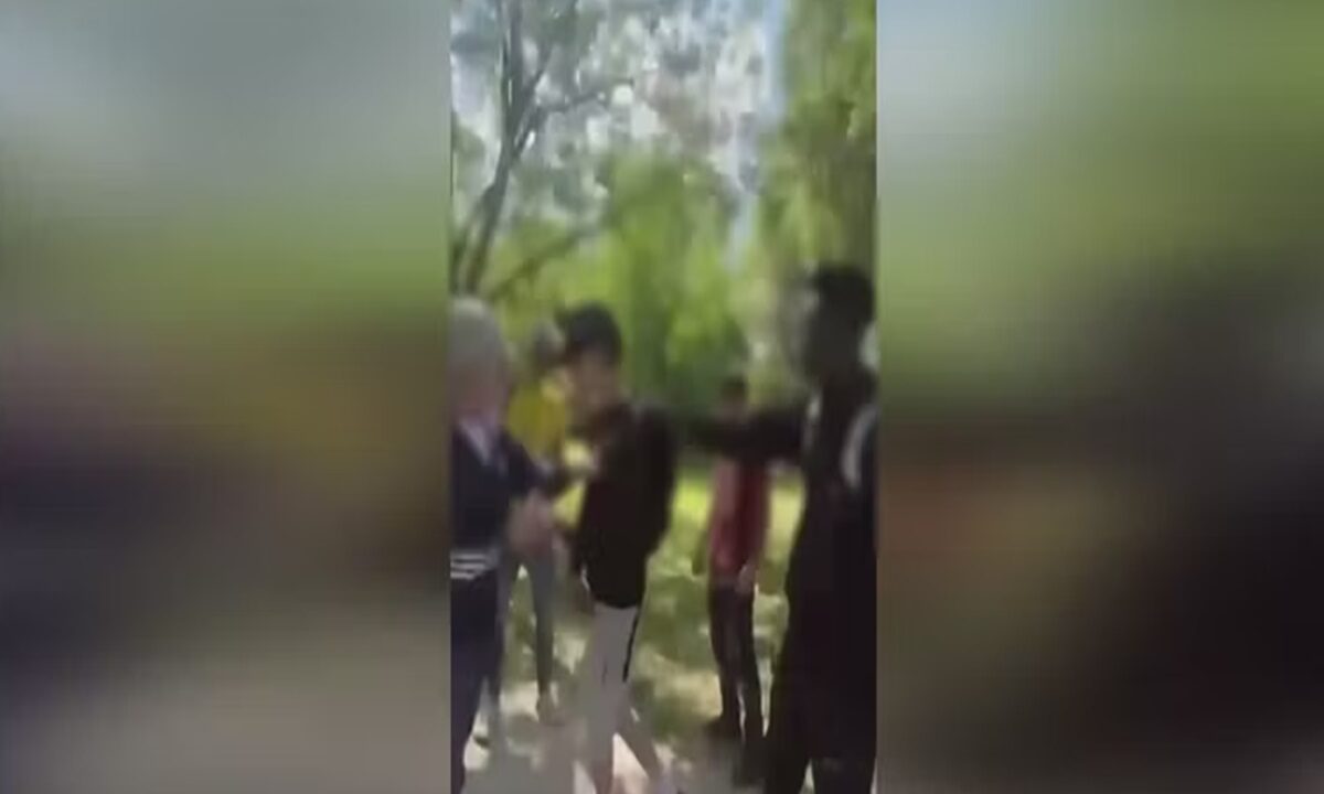 Il video dei due professori aggrediti a Parma