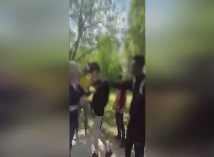 Il video dei due professori aggrediti a Parma
