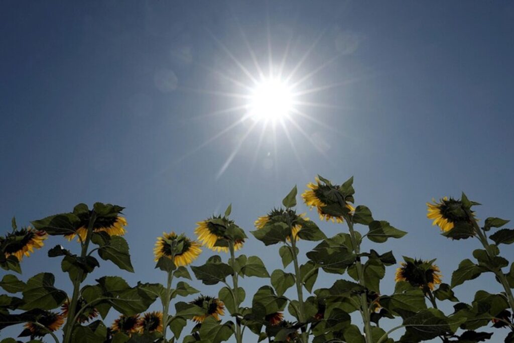 Una giornata di sole