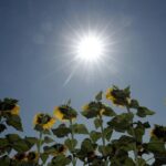 Una giornata di sole