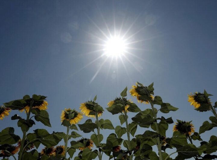 Una giornata di sole