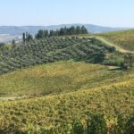 Toscana
