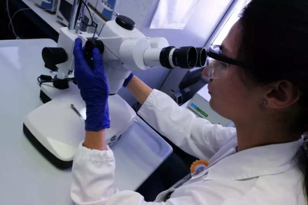 Una donna guarda al microscopio