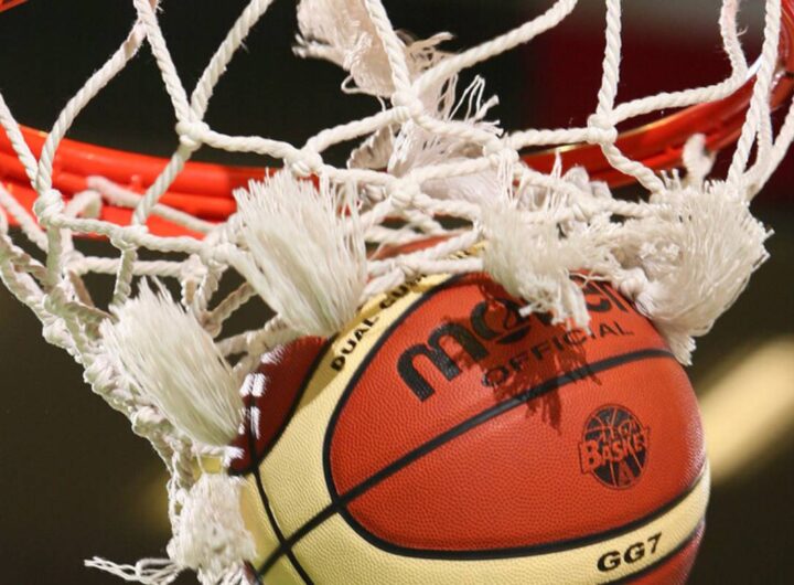 pallone da basket
