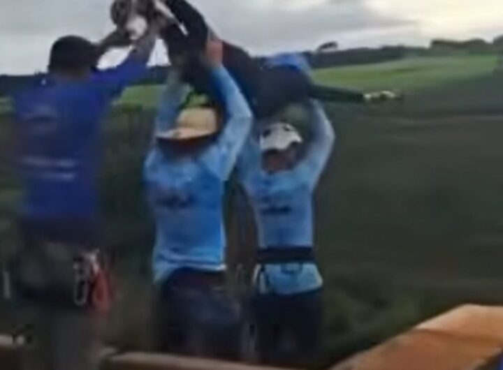 bungee jumping morta