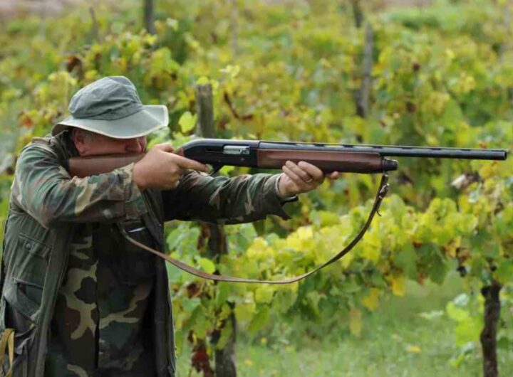 Un cacciatore pronto a sparare
