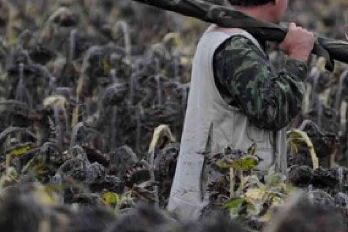 Cosa prevede la legge “sparatutto”:  più spazi, tempi più lunghi, il cacciatore come “bioregolatore”