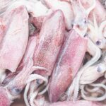 calamari