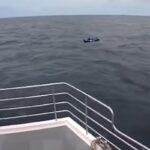 cane su kayak