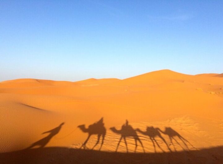 deserto sahara