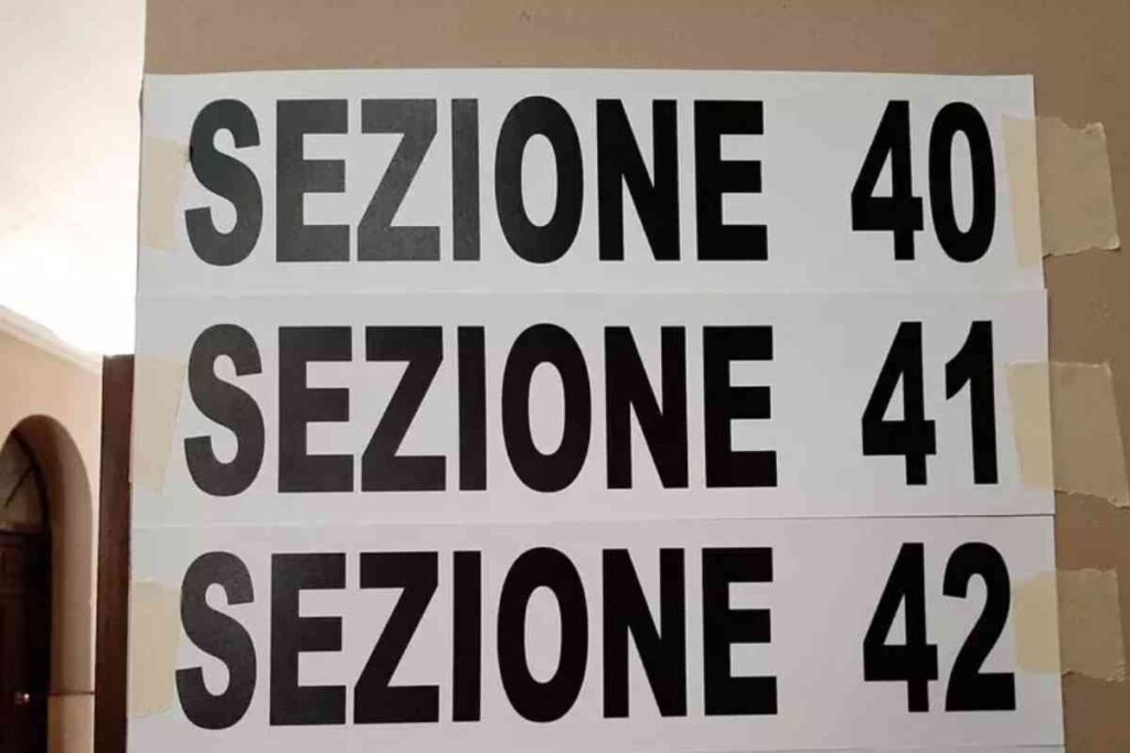 elezioni