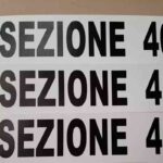 elezioni