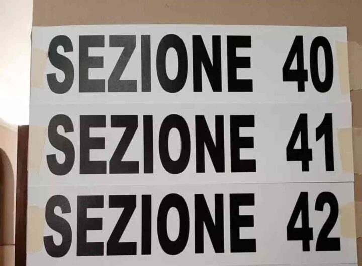 elezioni