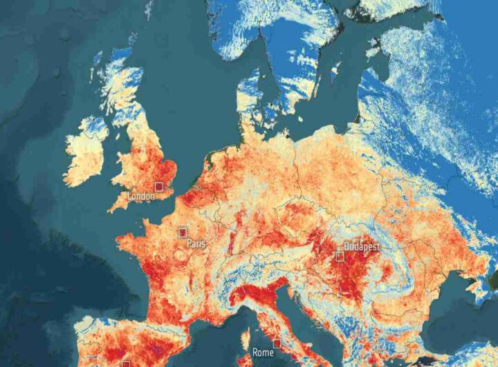 Ondata di calore in Europa