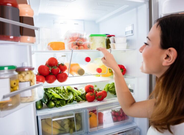 frigo
