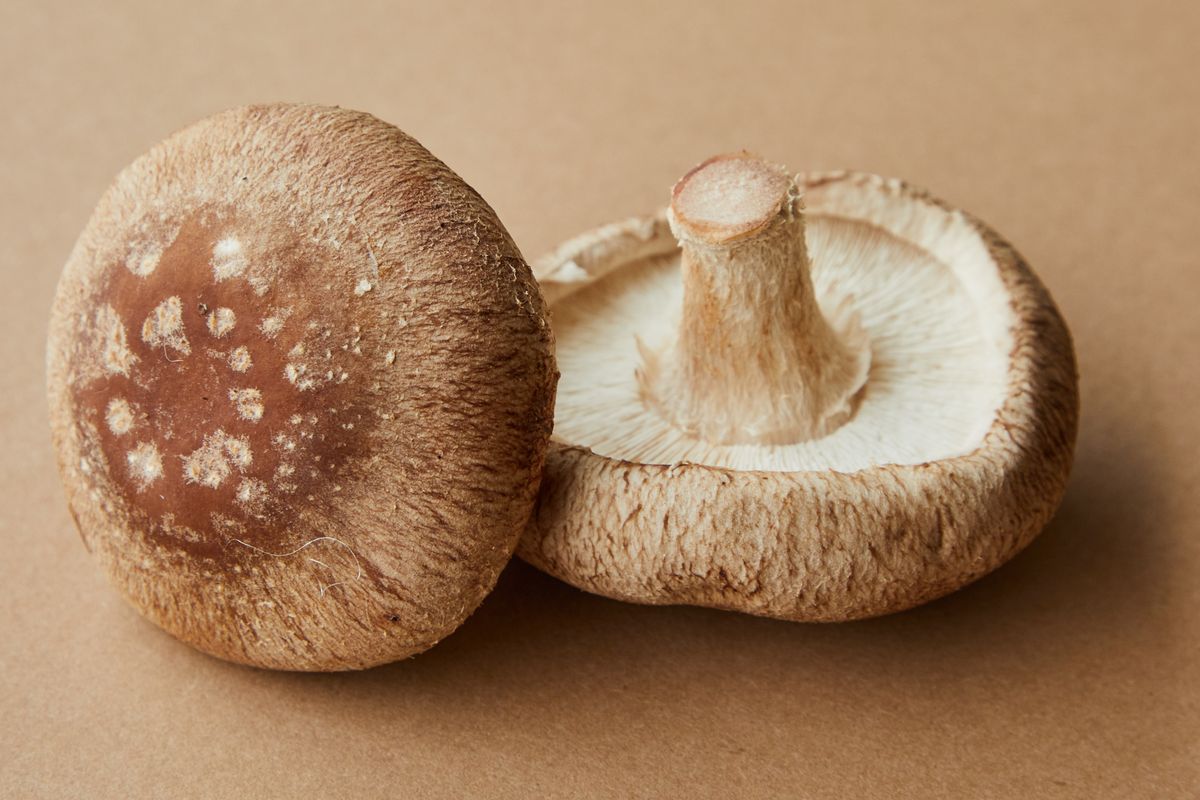 I funghi shiitake
