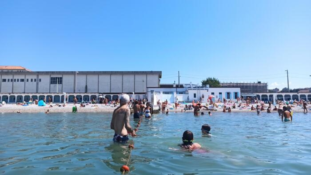 lido pedocin