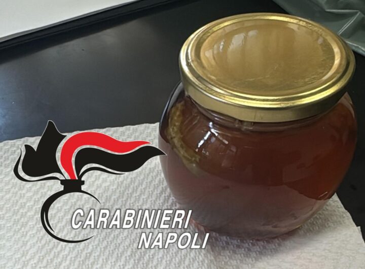 Miele da sballo, la droga sequestrata dai carabinieri