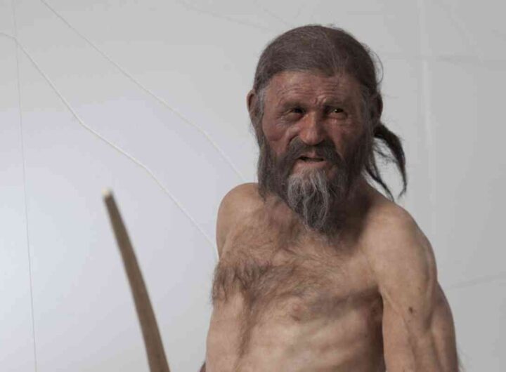 mummia otzi