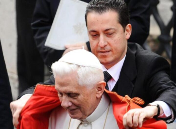 papa benedetto