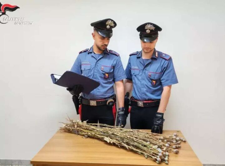 Niscemi, coltivavano papaveri da oppio nella zona chiusa per la frana