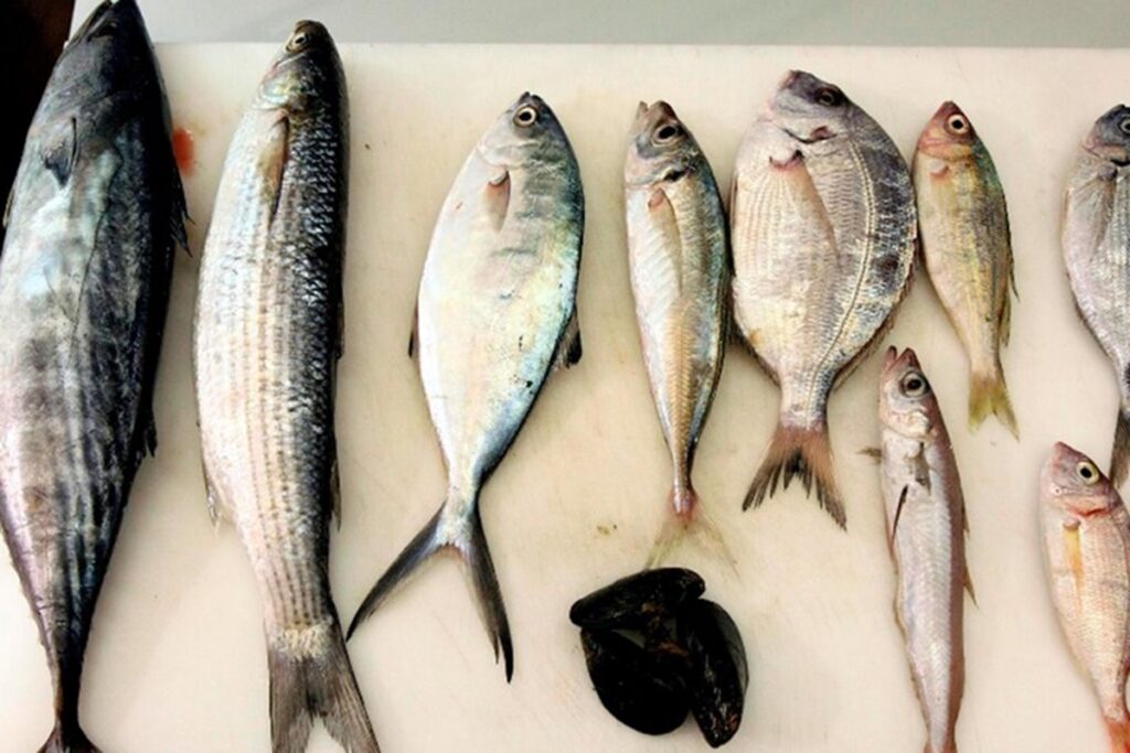 Pesce