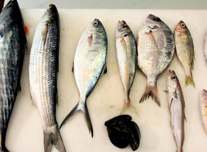 Pesce