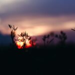 solstizio d'estate