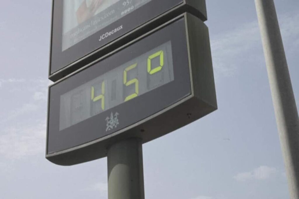 Caldo