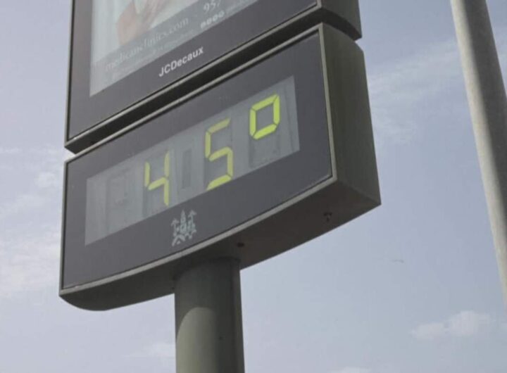 Caldo