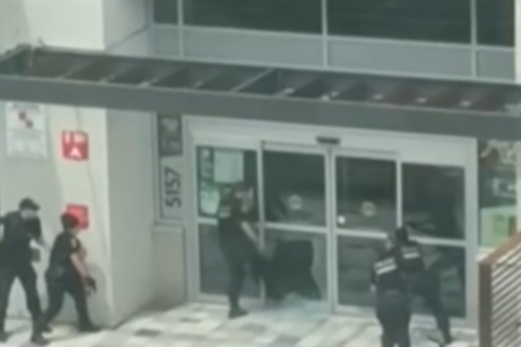 sparatoria montreal