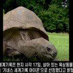 Il video della tartaruga più anziana del mondo: 194 anni di storia straordinaria