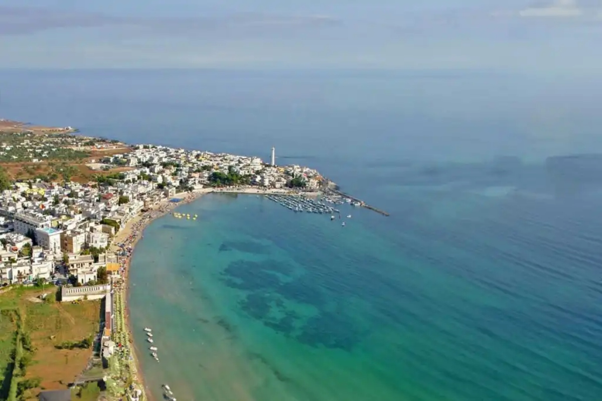 torre canne