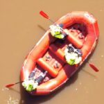Le ricerche in un fiume