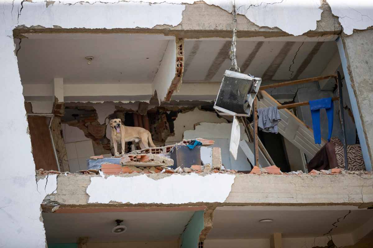 Terremoto Venezuela: almeno 50mila dispersi, bimbo estratto vivo dopo 36 ore. 65mila italiani vivono nell’area del sisma e ci sono le prime vittime