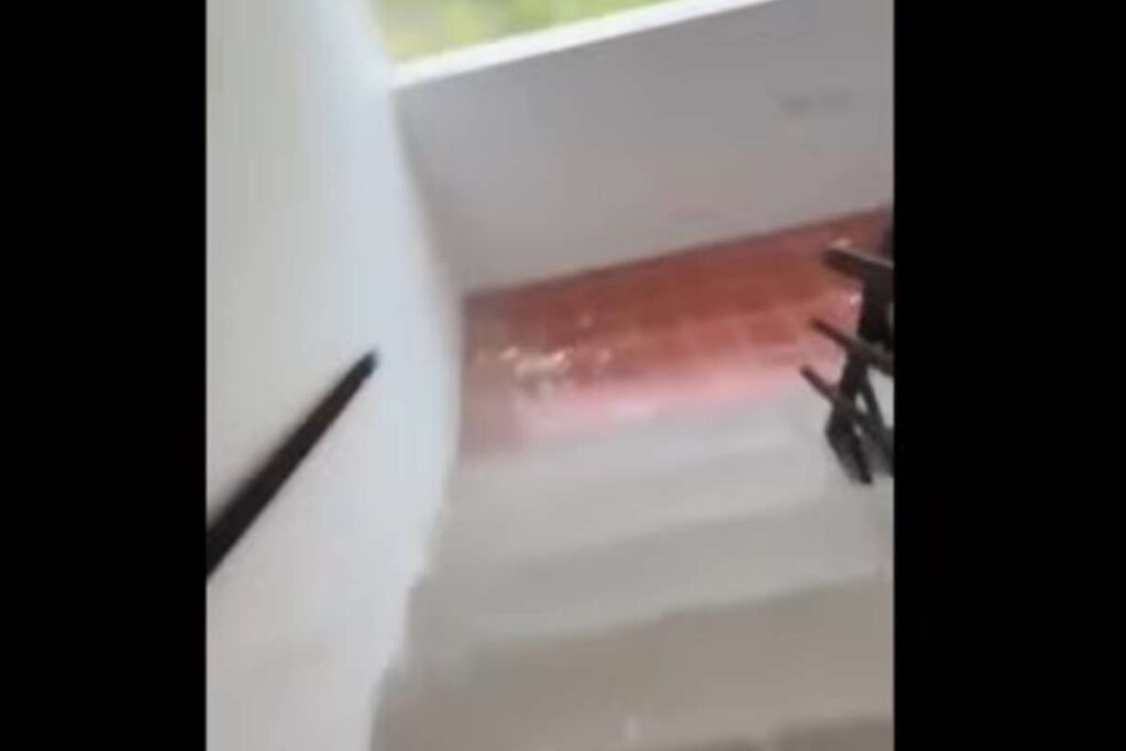 venezuela terremoto