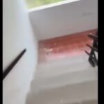 venezuela terremoto
