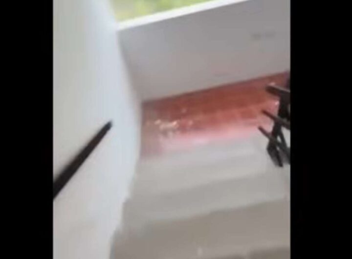 venezuela terremoto