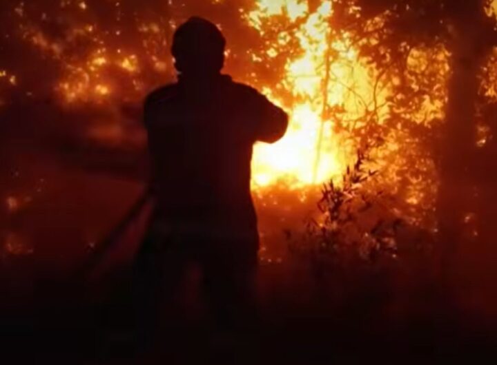 cap ferret incendio