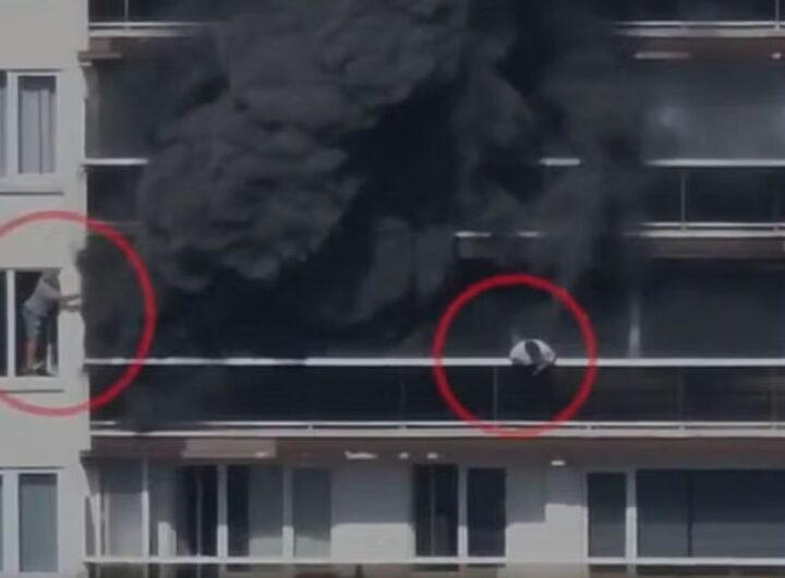 anversa incendio