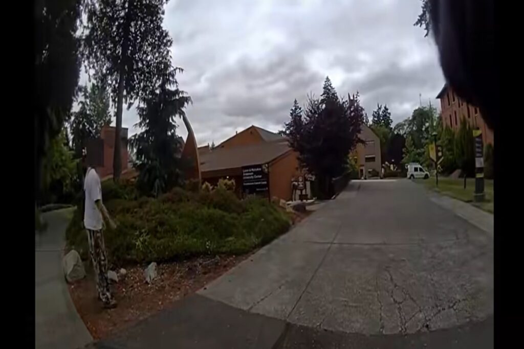 Il video della capra in fuga dagli agenti