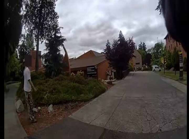 Il video della capra in fuga dagli agenti