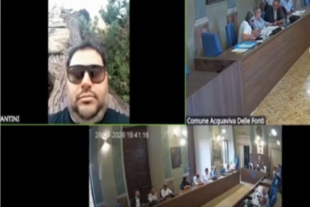 Il video dell'esponente di Fratelli d'Italia che partecipa alla seduta comunale in collegamento da Gardaland