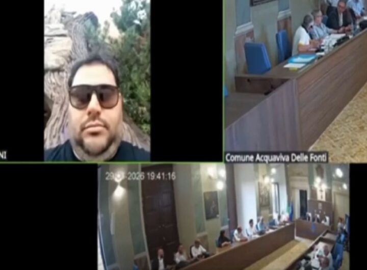 Il video dell'esponente di Fratelli d'Italia che partecipa alla seduta comunale in collegamento da Gardaland