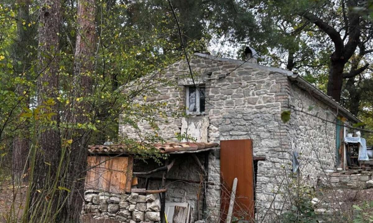 casa famiglia nel bosco