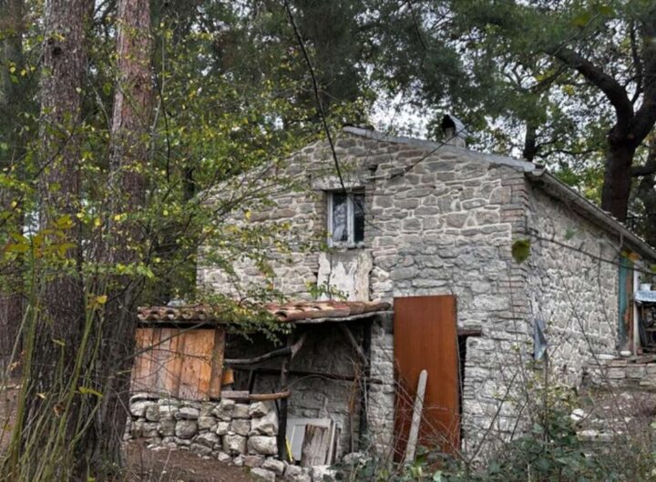 casa famiglia nel bosco