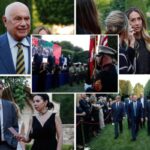 festa governo