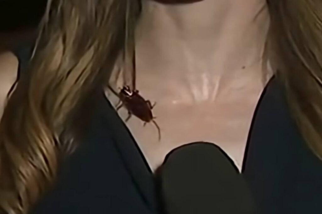 Scarafaggio sul collo della giornalista